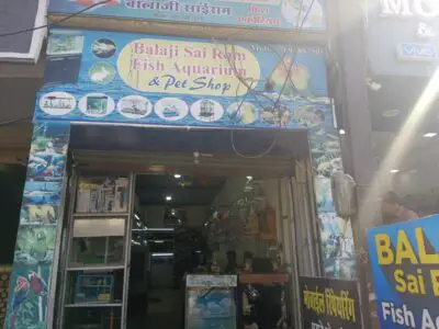 Balaji Sai Ram fish Aquarium & Pet shop